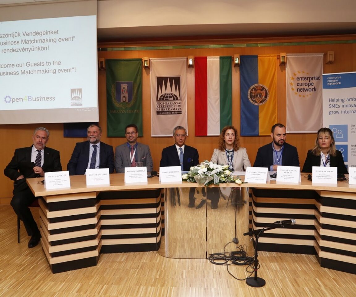 DANUBE COMPETITIVENESS IN PRACTICE, PÉCS, 2017