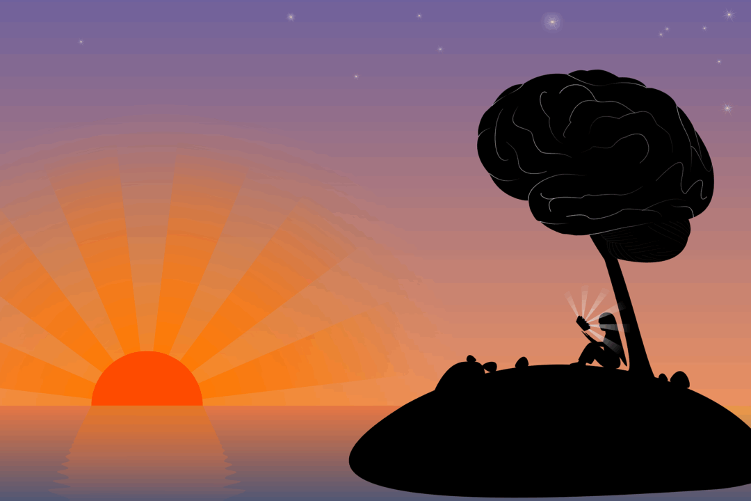 Conference ” The Brain Drain: International Migration of Skilled Human Capital from CEE and SEE to Western Europe”