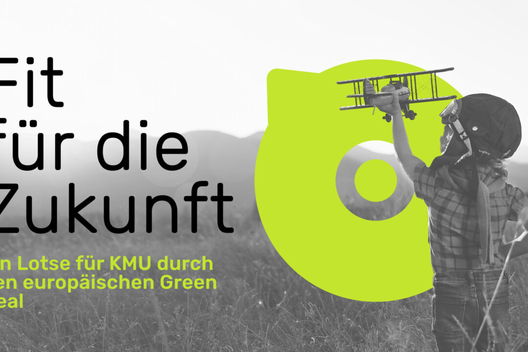 Baden-Württemberg: Campaign “Fit for the future” to support SMEs with the Green Deal – Ministry of Economic Affairs, Labour and Tourism