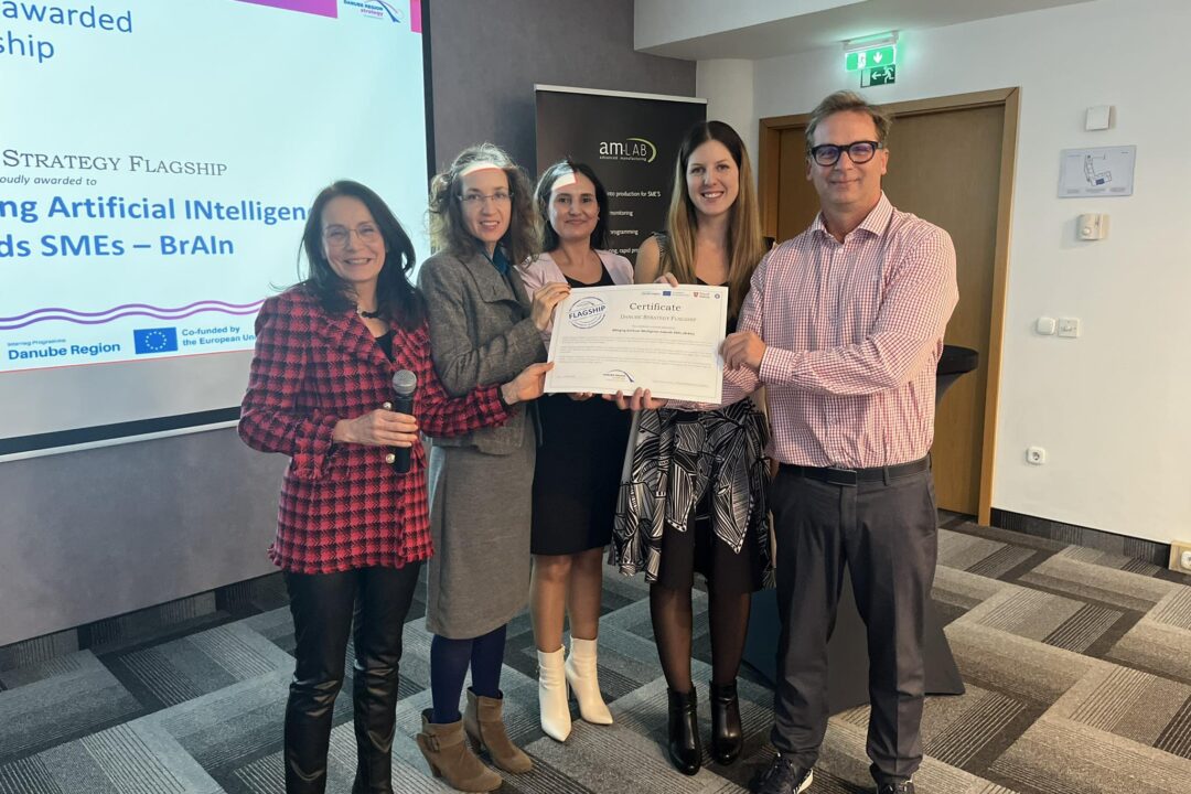 Kick-off Meeting PA 8 Flagship Project BrAIn