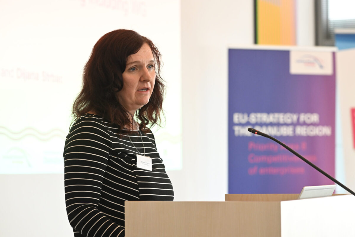 Joint Steering Group Meeting of PA 7 and PA 8 on 8 July 2024 in Ulm