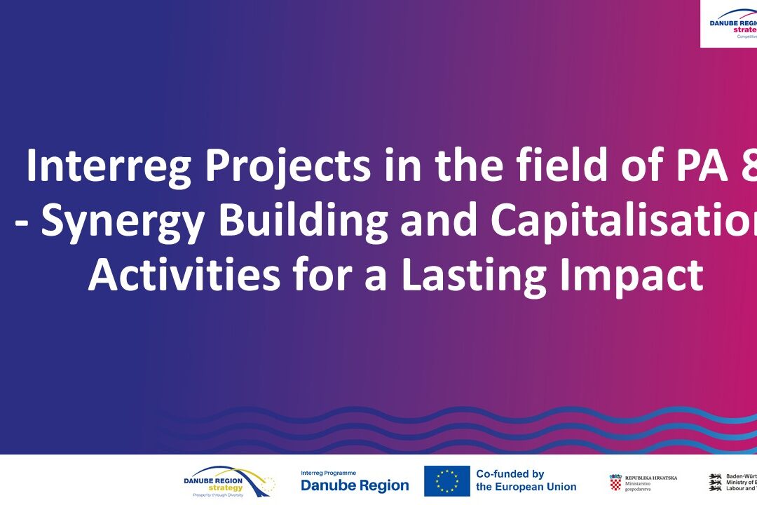 Interreg Projects in the field of PA 8 – Synergy Building and Capitalisation Activities for a Lasting Impact