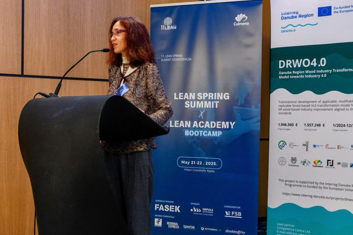 DRWO 4.0. 2nd Thematic meeting LEAN & Non-destructive testing of wood-based materials