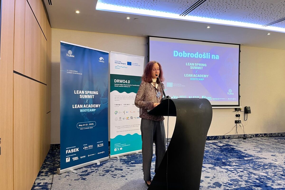 DRWO 4.0. 2nd Thematic meeting LEAN & Non-destructive testing of wood-based materials