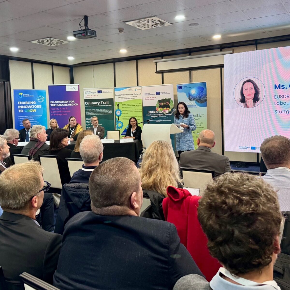 Danube Transfer Centre Network Ceremony, Sarajevo