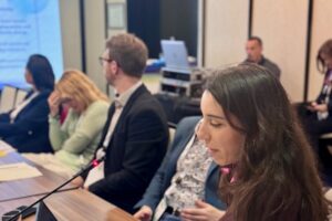 27th Steering Group Meeting, Sarajevo