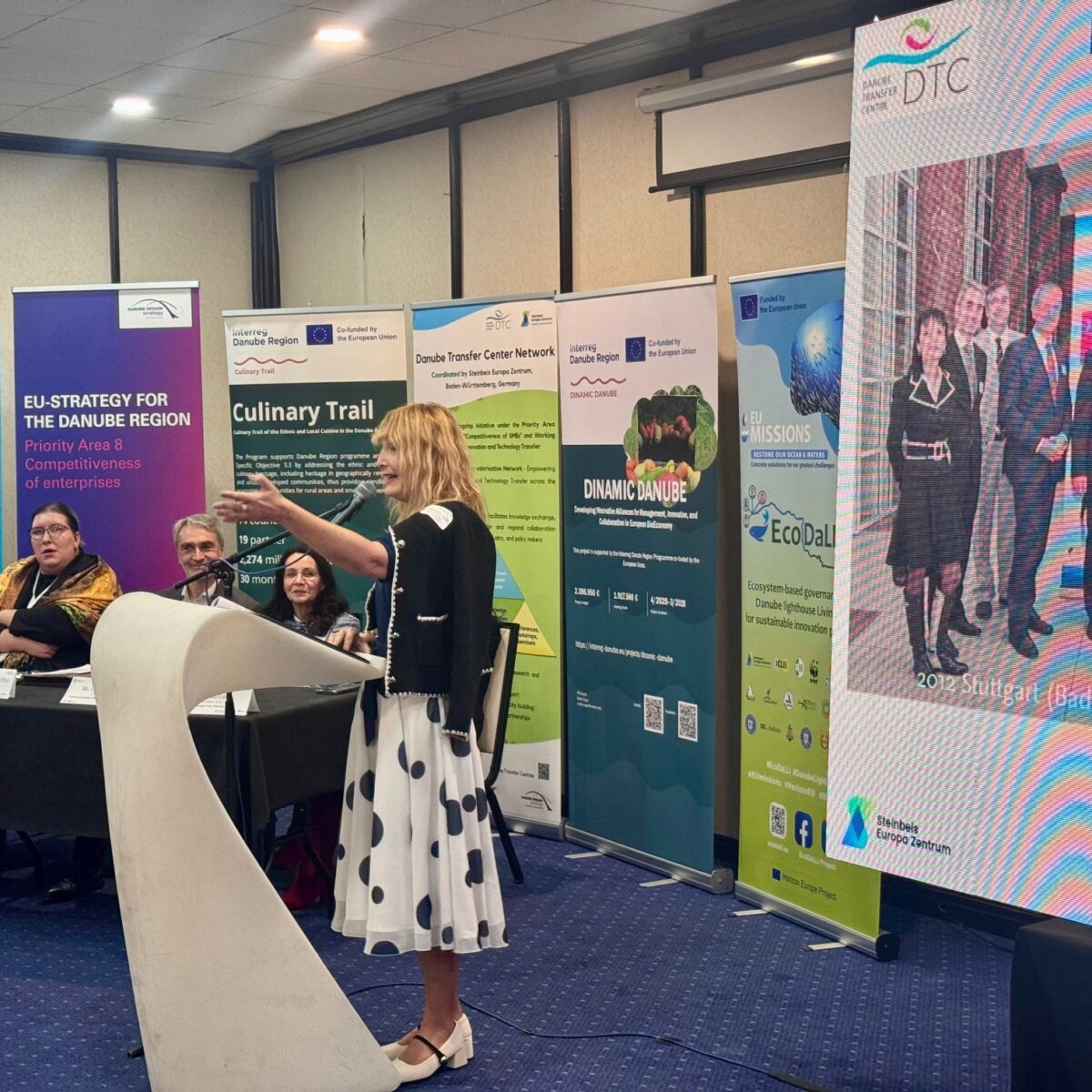 Danube Transfer Centre Network Ceremony, Sarajevo