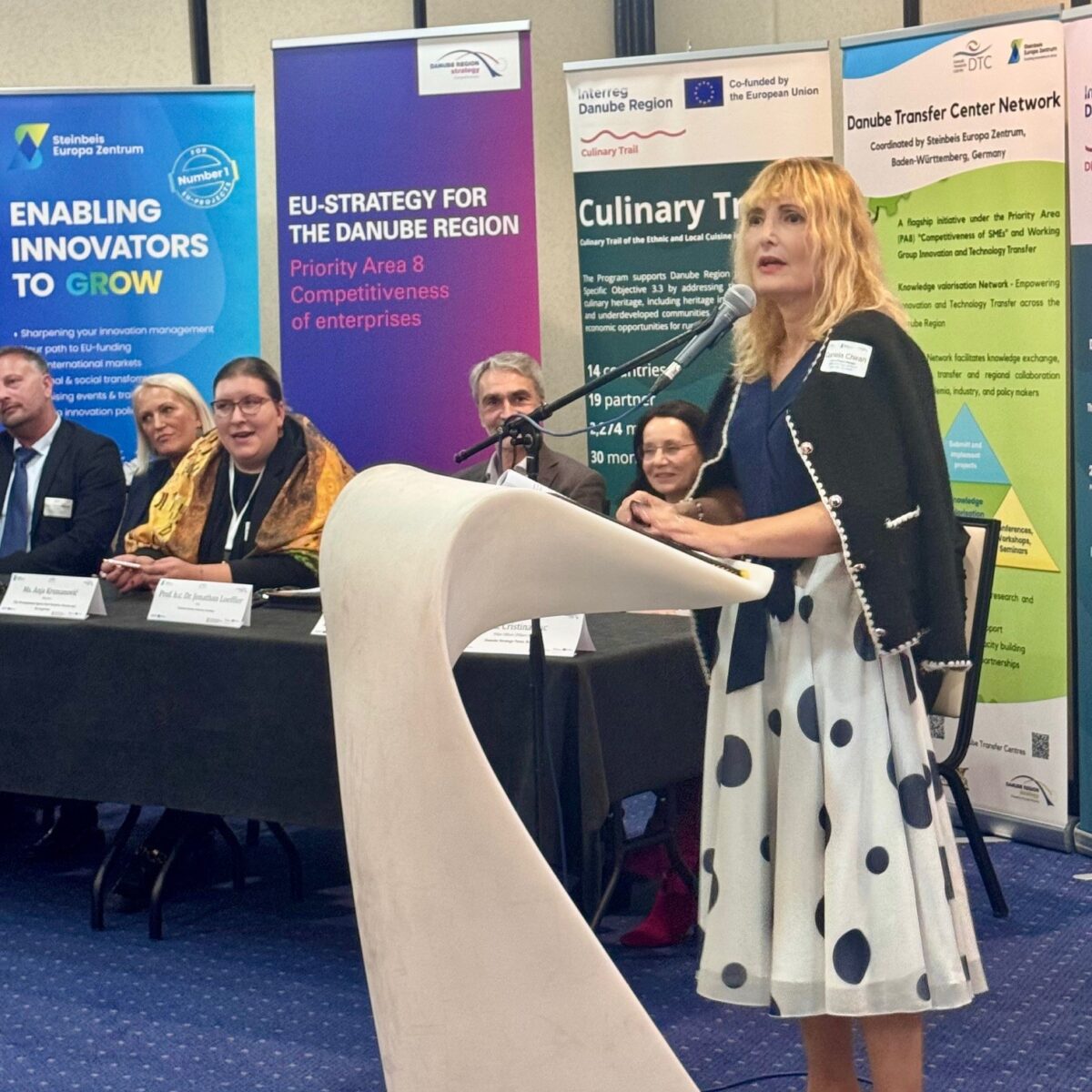 Danube Transfer Centre Network Ceremony, Sarajevo