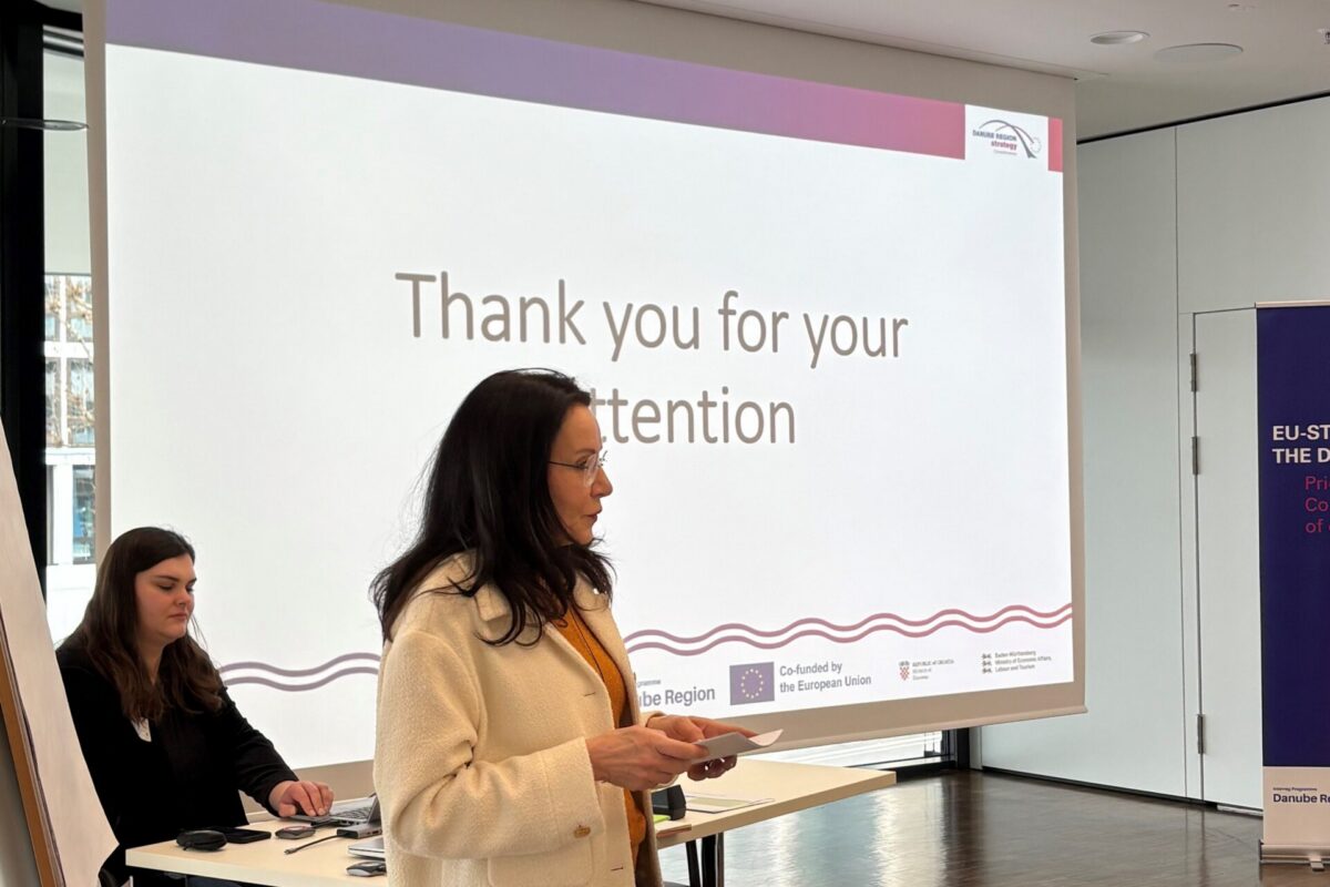 Twin Synergies Cross-Fertilisation Workshop Boosts Cooperation for a Green and Digital Danube Region