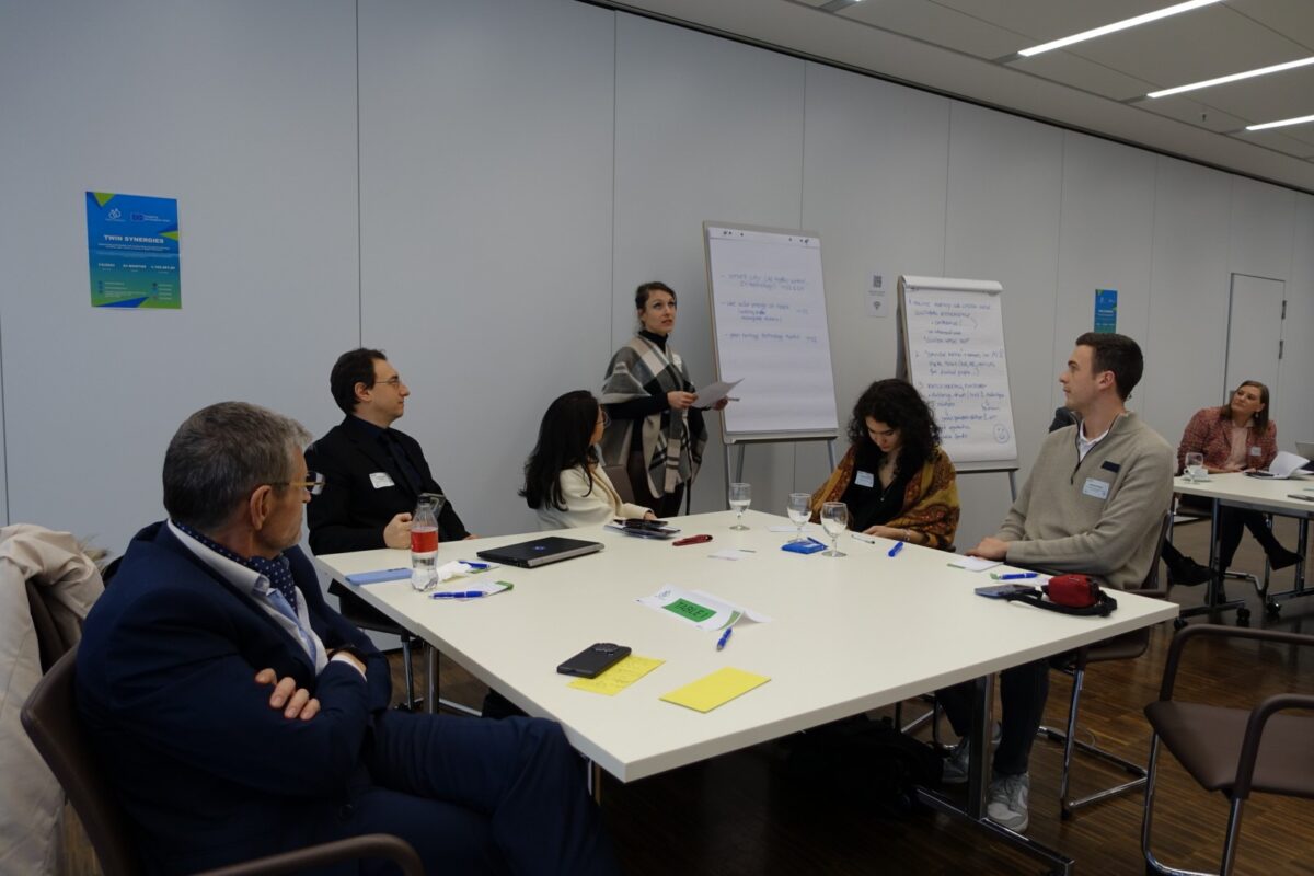 Twin Synergies Cross-Fertilisation Workshop Boosts Cooperation for a Green and Digital Danube Region