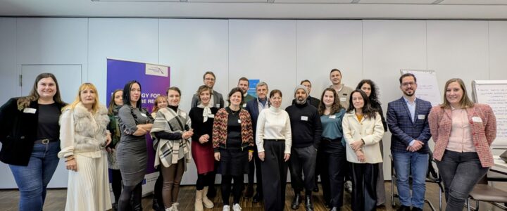 Twin Synergies Cross-Fertilisation Workshop Boosts Cooperation for a Green and Digital Danube Region