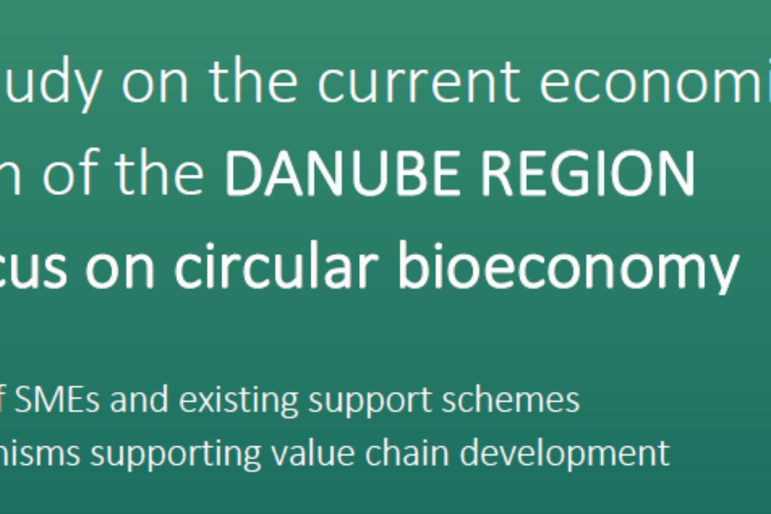 Short study on the current economic situation of the Danube Region with focus on circular bioeconomy (November 2022)