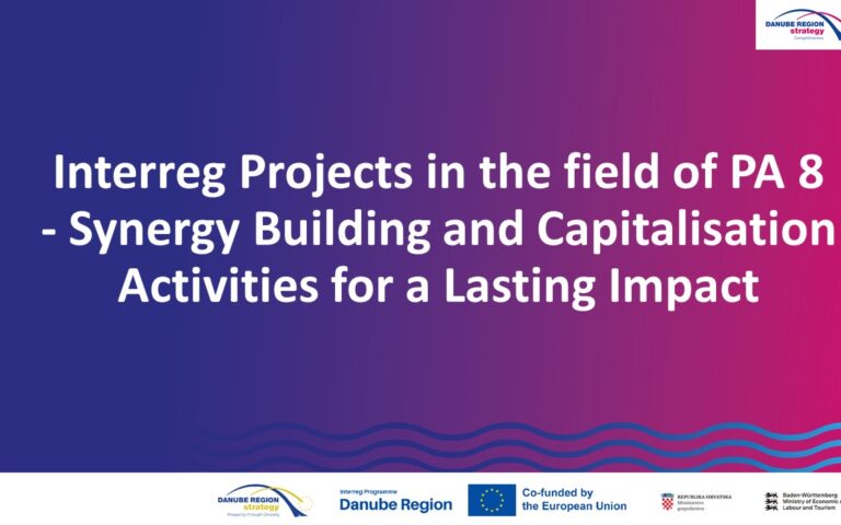 Interreg Projects in the field of PA 8 – Synergy Building and Capitalisation Activities for a Lasting Impact
